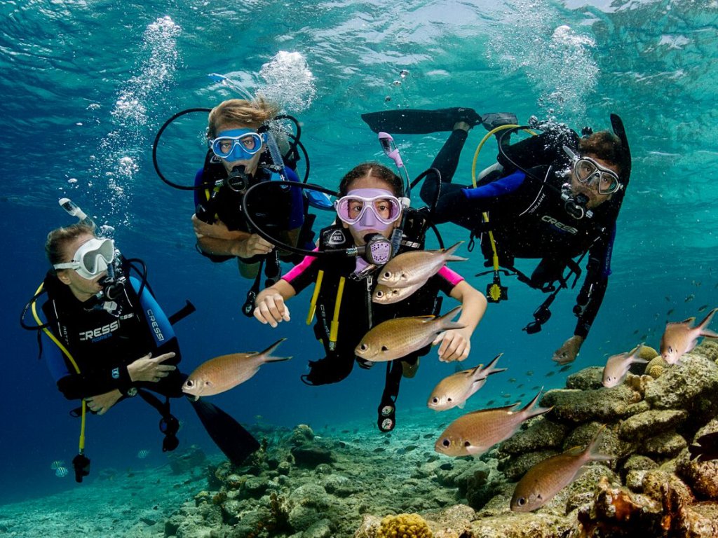 Diving Tour